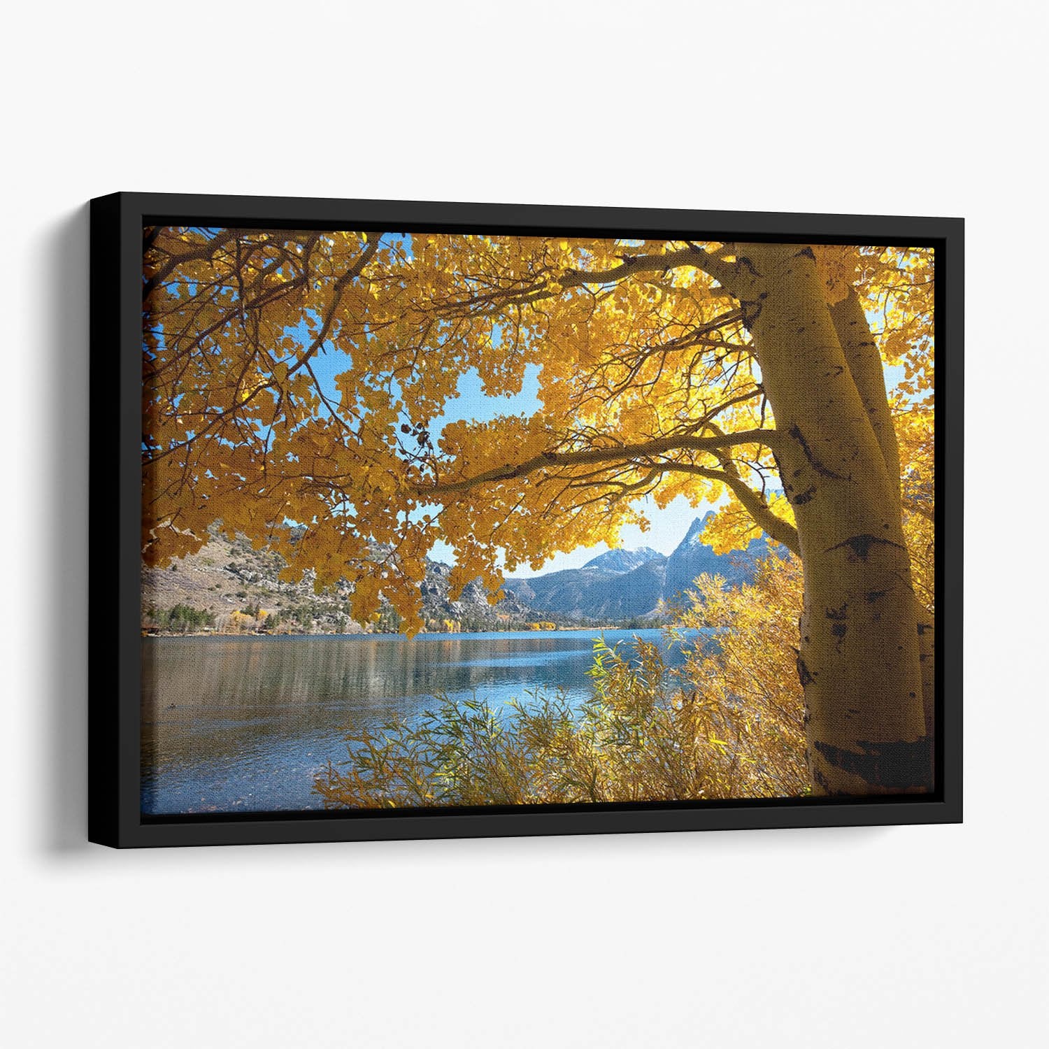 Autumn mountain lake Floating Framed Canvas