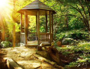 Autumnal Park Landscaping Wall Mural Wallpaper - Canvas Art Rocks - 1