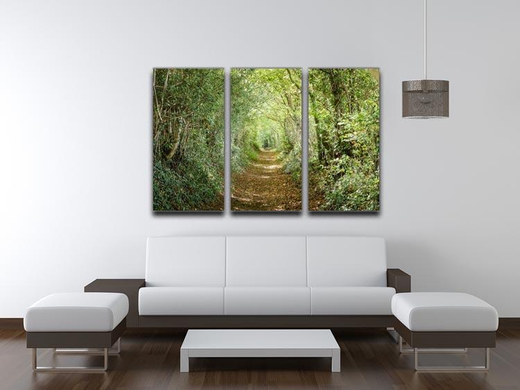 Avenue of trees 3 Split Panel Canvas Print - Canvas Art Rocks - 3