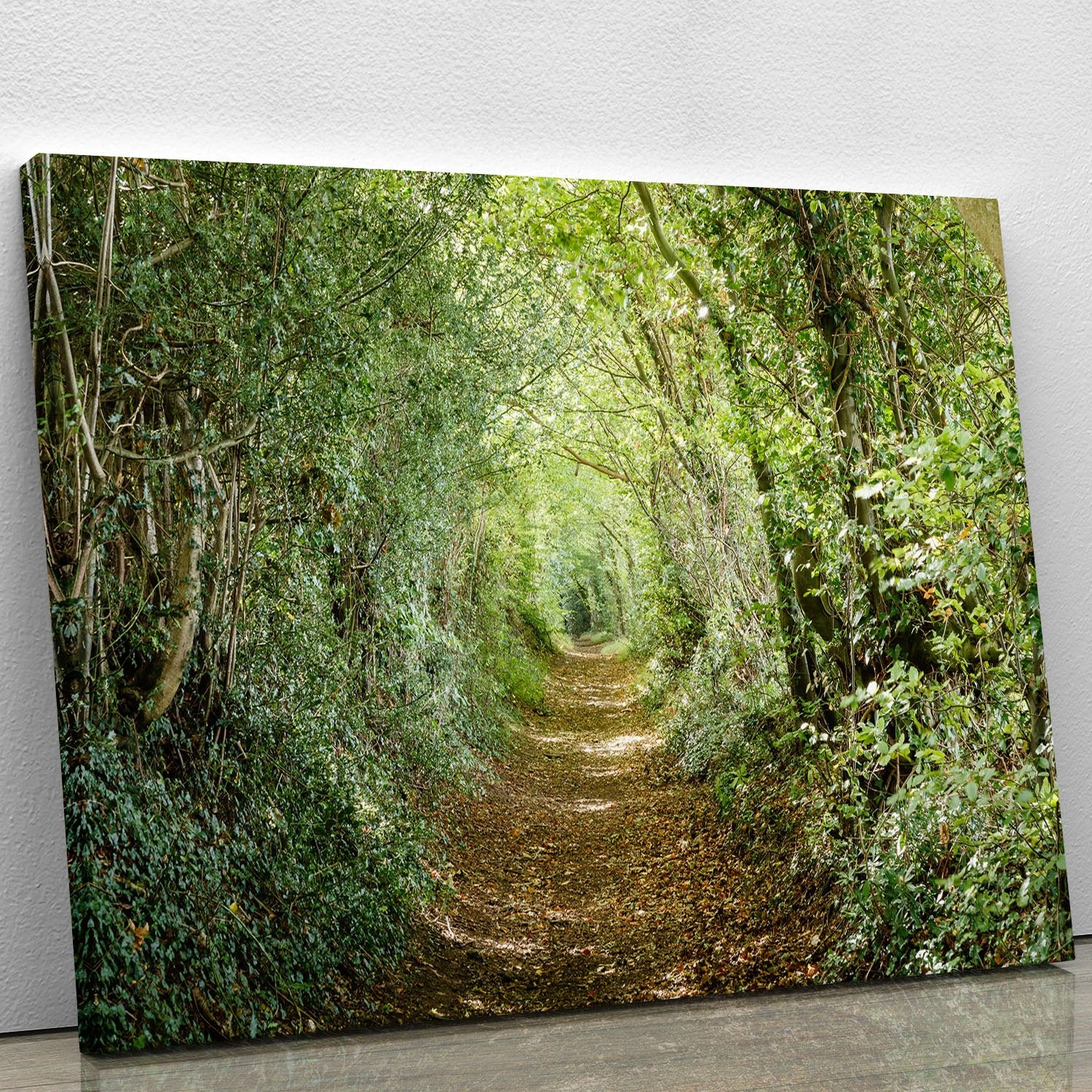 Avenue of trees Canvas Print or Poster