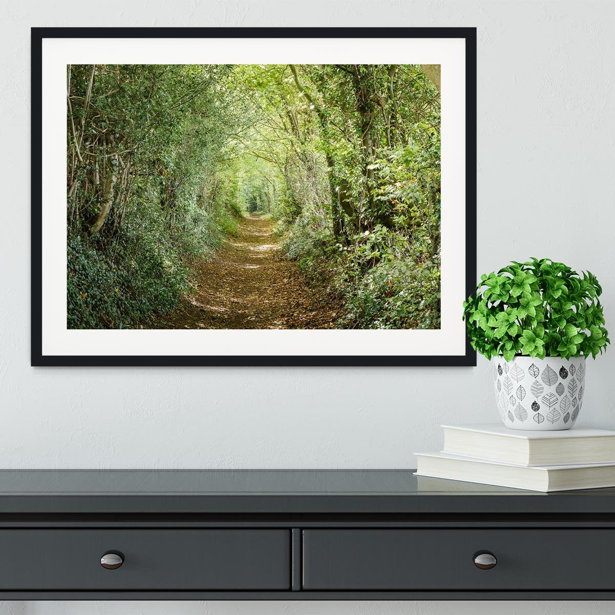 Avenue of trees Framed Print - Canvas Art Rocks - 1