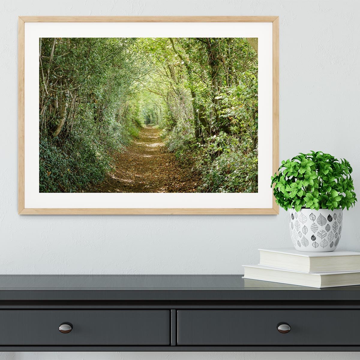 Avenue of trees Framed Print - Canvas Art Rocks - 3