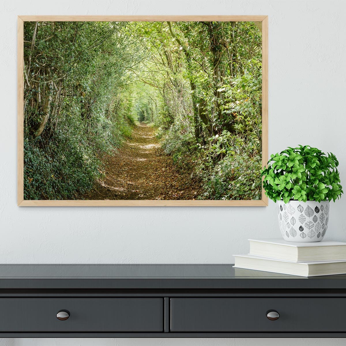 Avenue of trees Framed Print - Canvas Art Rocks - 4
