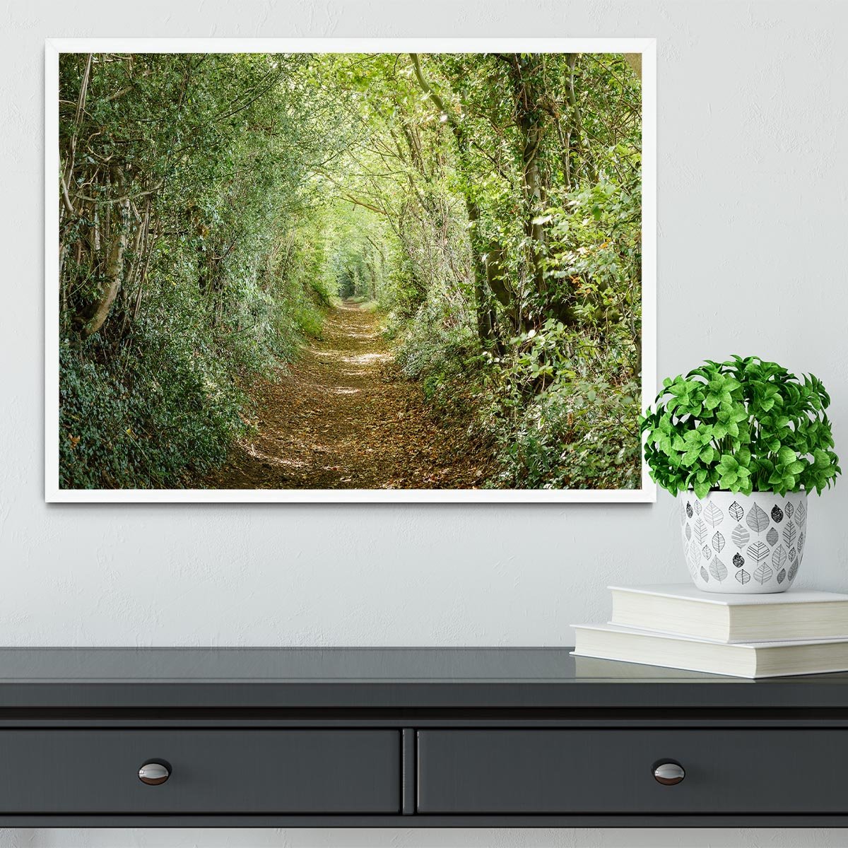 Avenue of trees Framed Print - Canvas Art Rocks -6