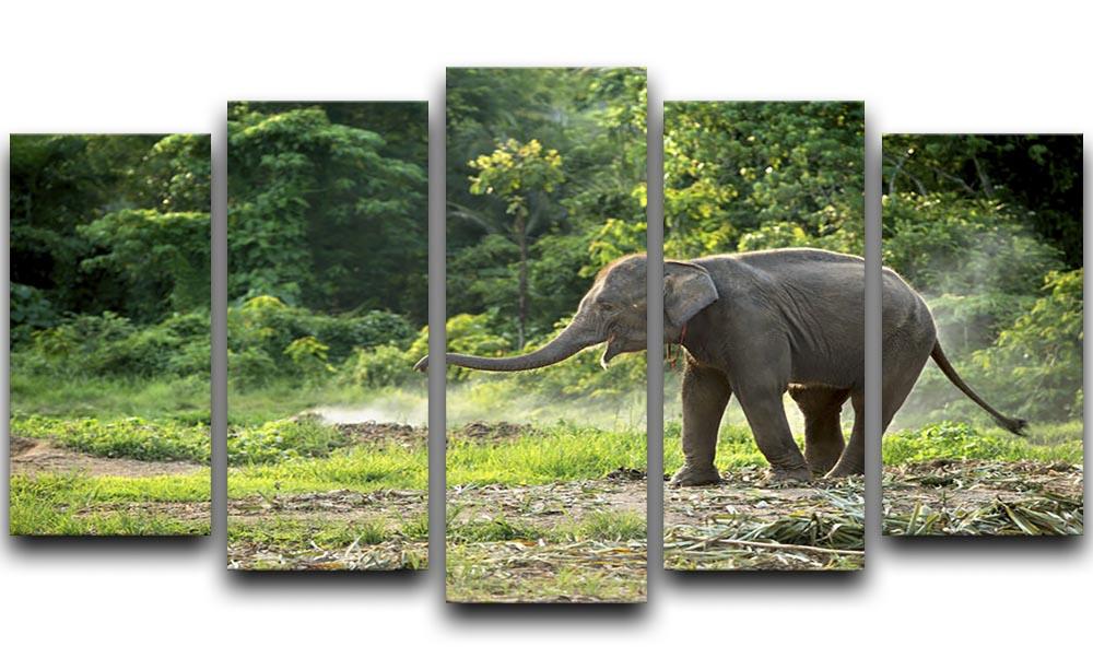 Baby elephant enjoy in open zoo 5 Split Panel Canvas - Canvas Art Rocks - 1