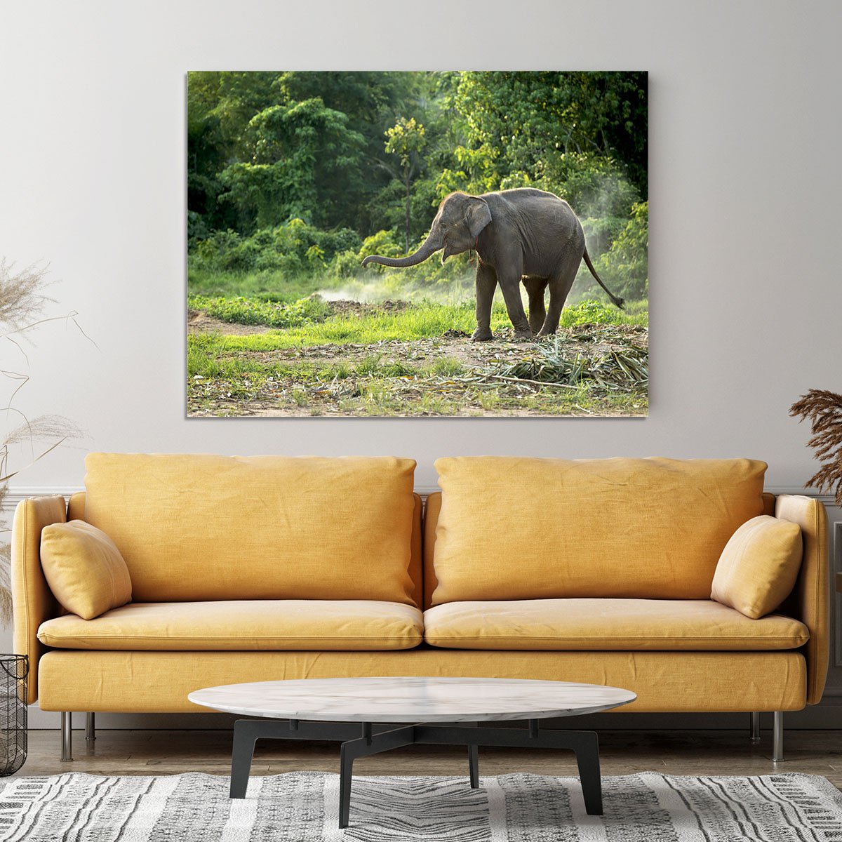 Baby elephant enjoy in open zoo Canvas Print or Poster