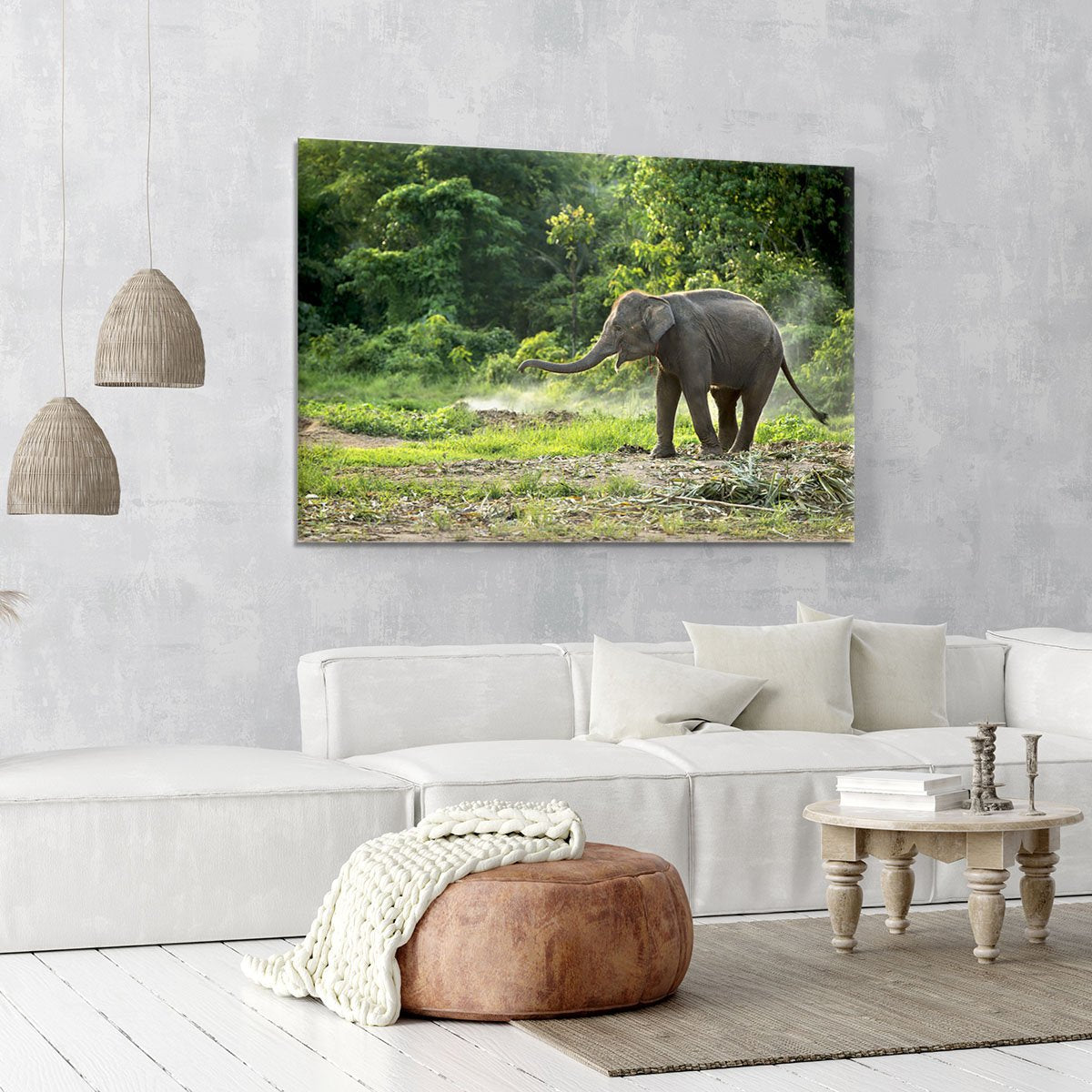 Baby elephant enjoy in open zoo Canvas Print or Poster