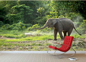 Baby elephant enjoy in open zoo Wall Mural Wallpaper - Canvas Art Rocks - 2