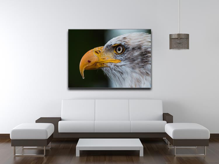 Bald Eagle Canvas Print - Canvas Art Rocks - 4