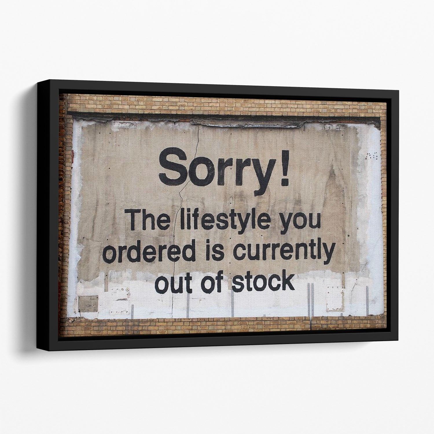 Banksy The Lifestyle You Ordered Floating Framed Canvas
