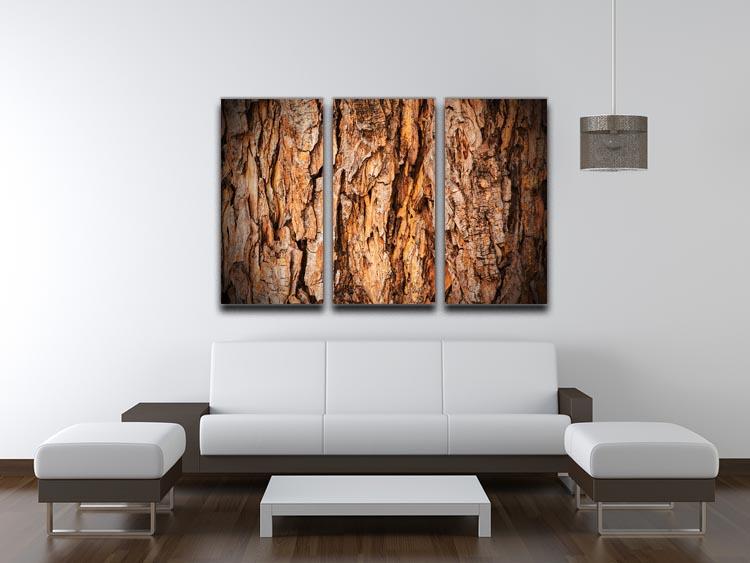 Bark texture 3 Split Panel Canvas Print - Canvas Art Rocks - 3