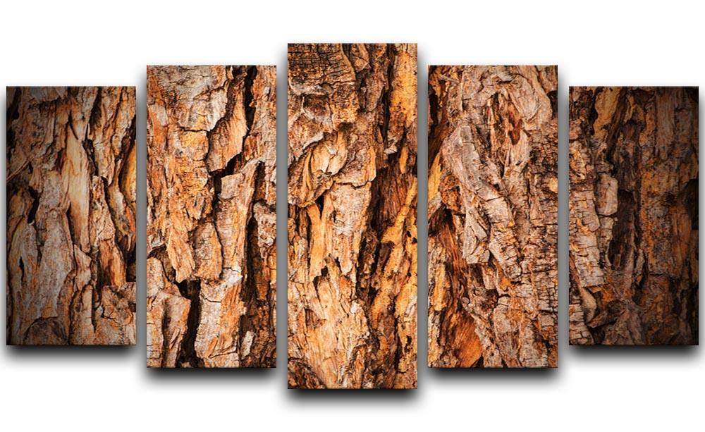 Bark texture 5 Split Panel Canvas - Canvas Art Rocks - 1