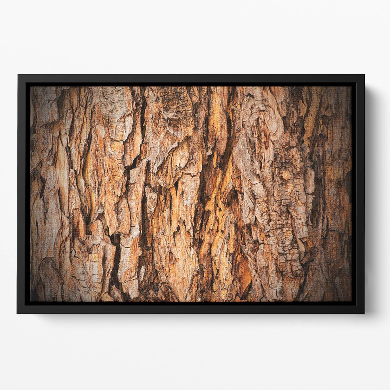 Bark texture Floating Framed Canvas