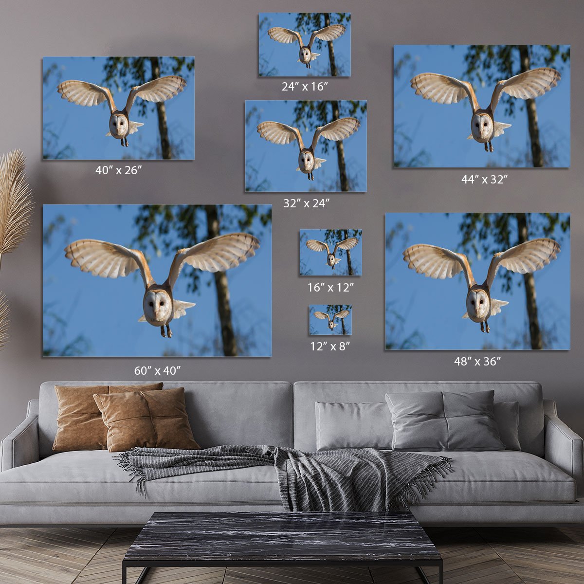 Barn Owl Canvas Print or Poster