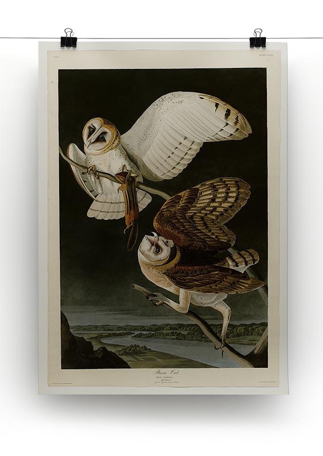 Barn Owl by Audubon Canvas Print or Poster - Canvas Art Rocks - 2