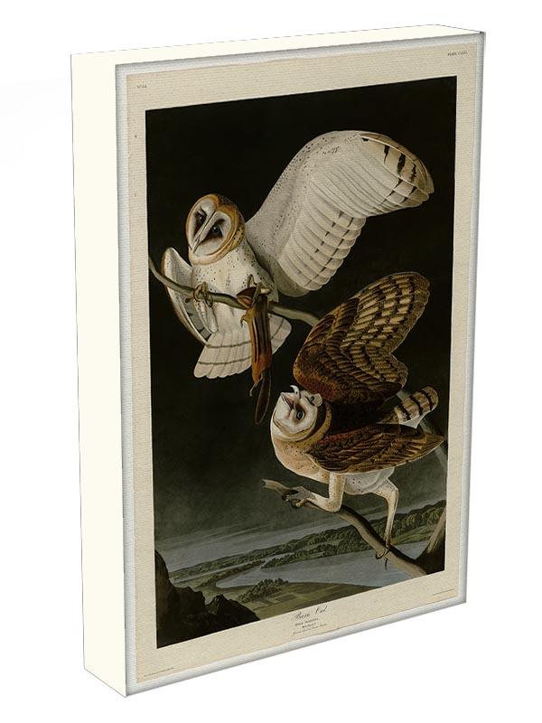 Barn Owl by Audubon Canvas Print or Poster - Canvas Art Rocks - 3