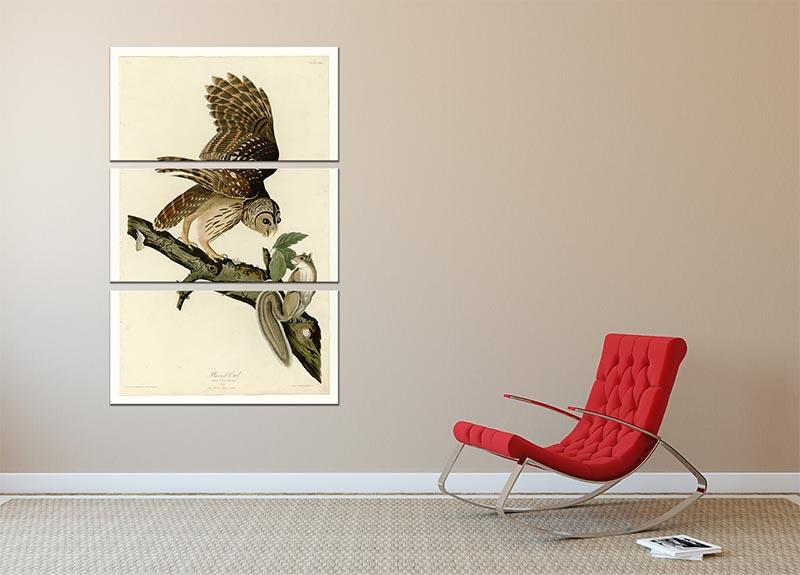 Barred Owl by Audubon 3 Split Panel Canvas Print - Canvas Art Rocks - 2