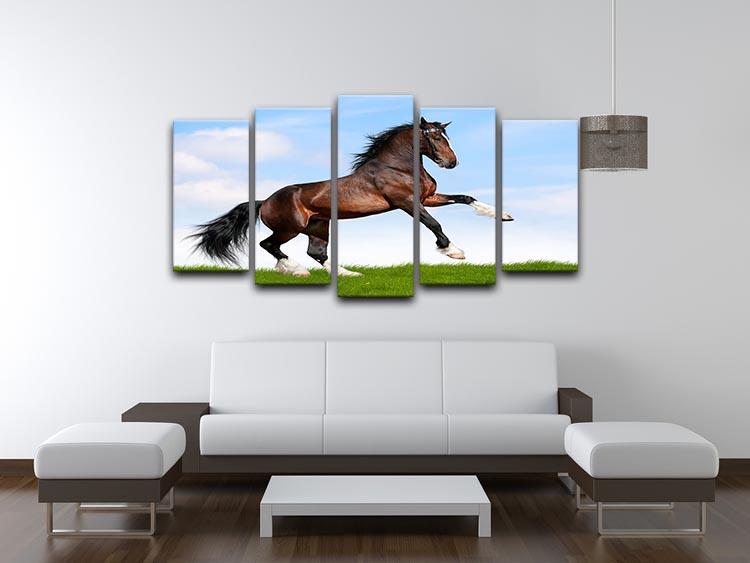 Bay horse running in field 5 Split Panel Canvas - Canvas Art Rocks - 3