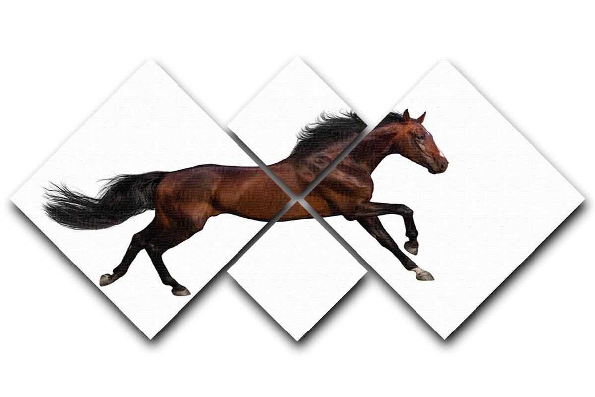 Bay stallion run 4 Square Multi Panel Canvas - Canvas Art Rocks - 1