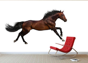 Bay stallion run Wall Mural Wallpaper - Canvas Art Rocks - 2