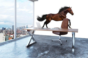 Bay stallion run Wall Mural Wallpaper - Canvas Art Rocks - 3