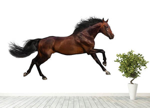 Bay stallion run Wall Mural Wallpaper - Canvas Art Rocks - 4
