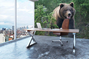 Bear in forest Wall Mural Wallpaper - Canvas Art Rocks - 3