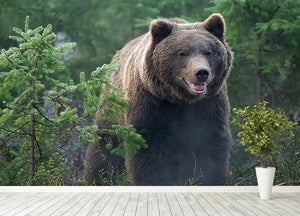 Bear in forest Wall Mural Wallpaper - Canvas Art Rocks - 4