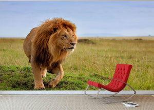 Beautiful Lion Long in Masai Mara Wall Mural Wallpaper - Canvas Art Rocks - 2