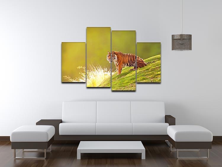 Beautiful Sumatran Tiger 4 Split Panel Canvas - Canvas Art Rocks - 3
