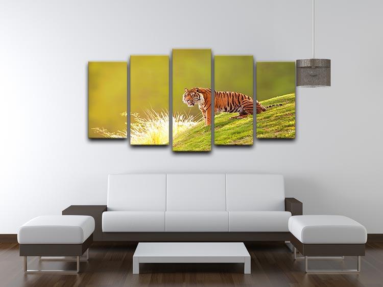 Beautiful Sumatran Tiger 5 Split Panel Canvas - Canvas Art Rocks - 3