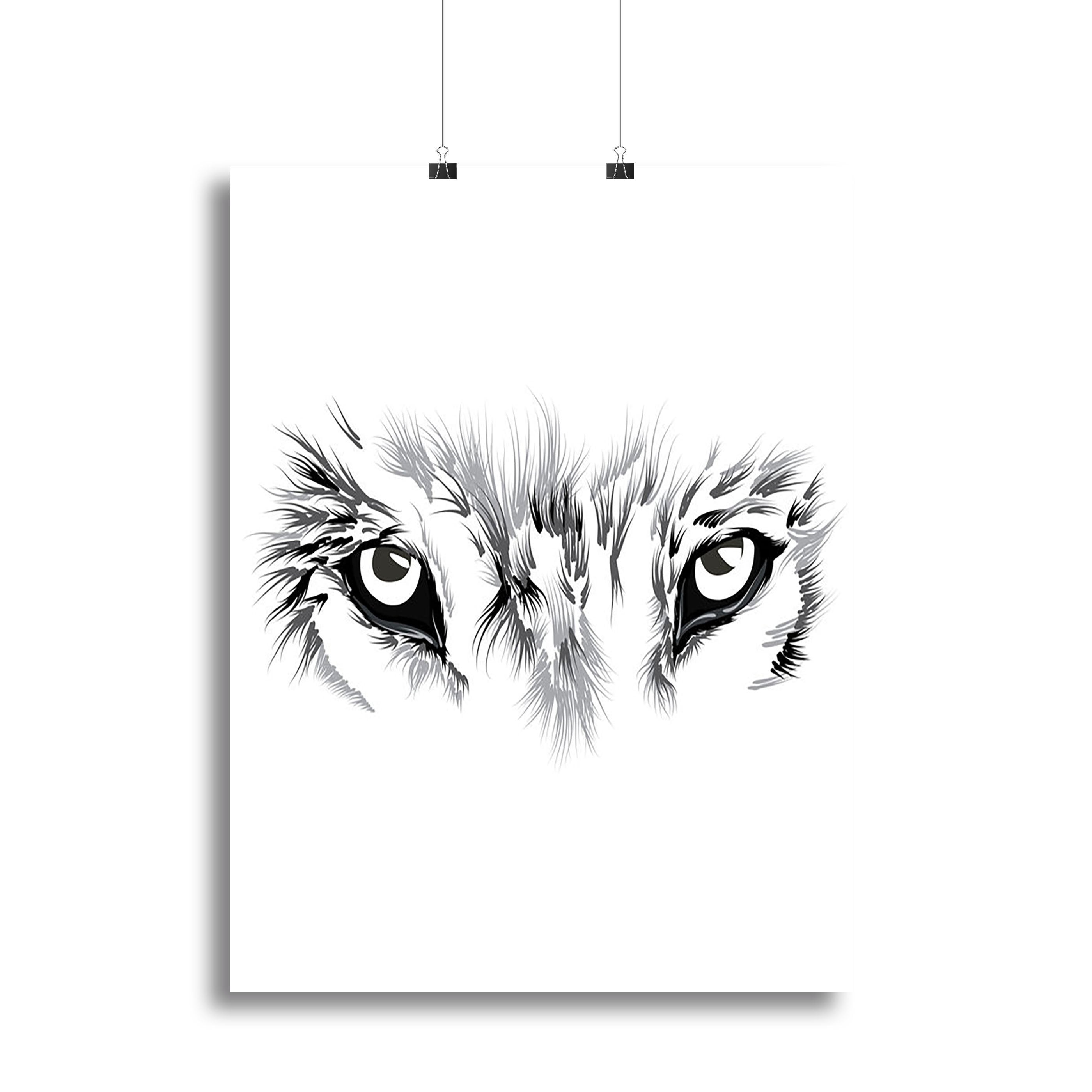 Beautiful Wolf face illustration Canvas Print or Poster