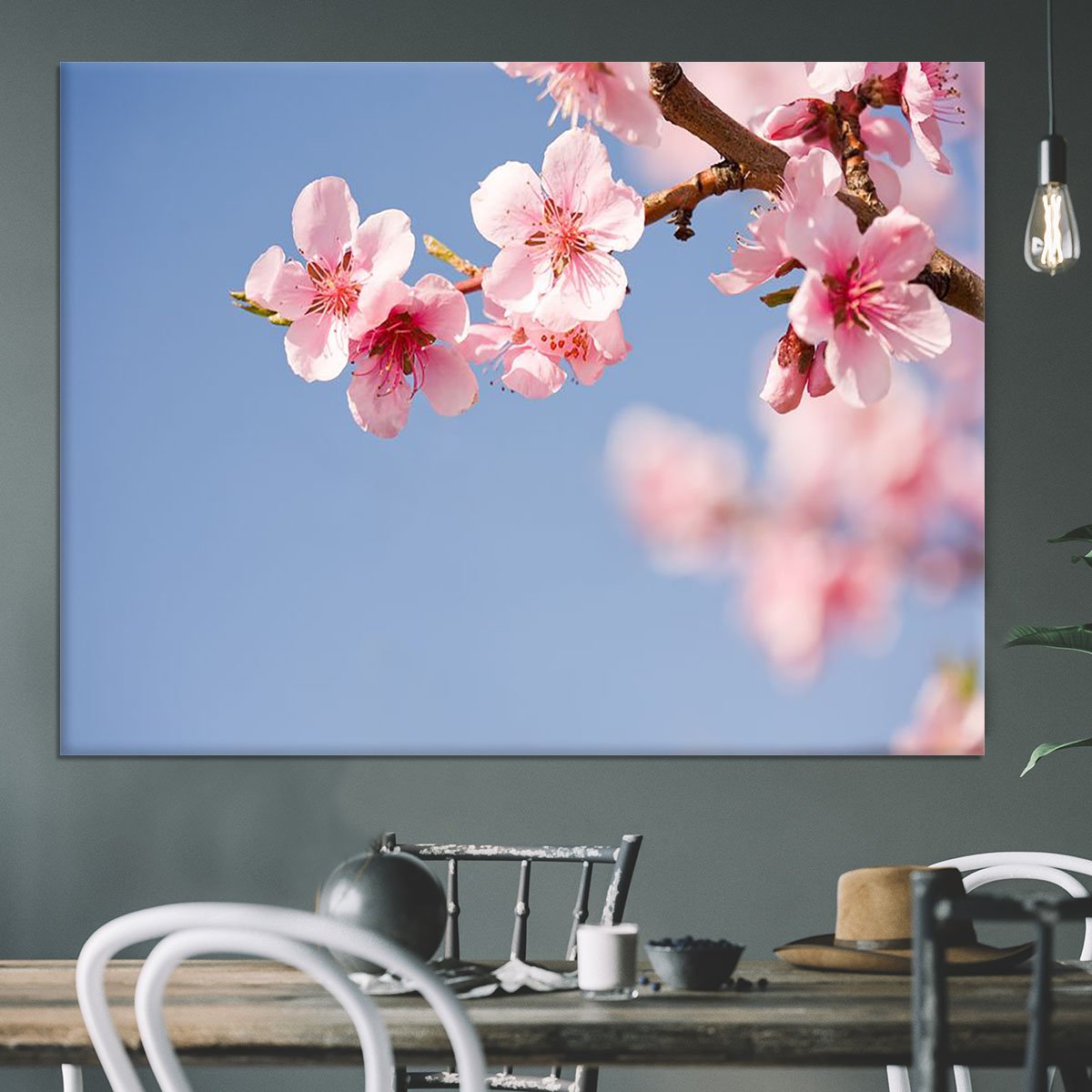 Beautiful colorful fresh spring flowers Canvas Print or Poster