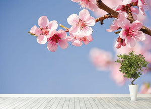 Beautiful colorful fresh spring flowers Wall Mural Wallpaper - Canvas Art Rocks - 4