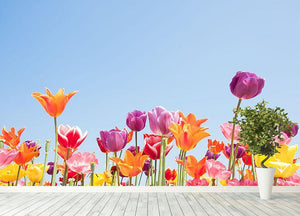 Beautiful coloured flowers Wall Mural Wallpaper - Canvas Art Rocks - 4