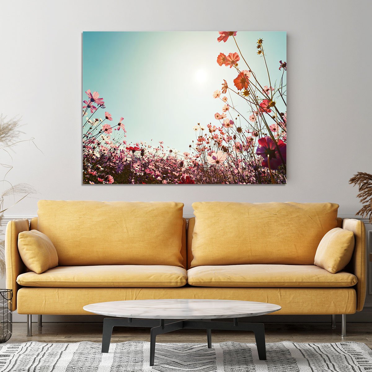 Beautiful cosmos flower field Canvas Print or Poster