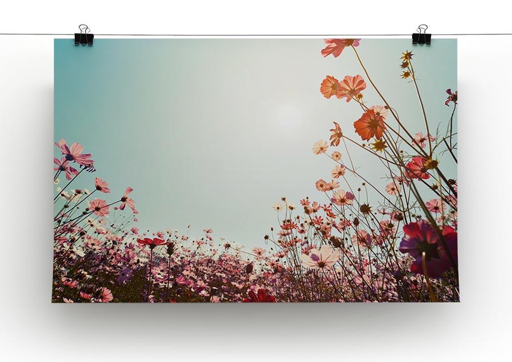 Beautiful cosmos flower field Canvas Print or Poster - Canvas Art Rocks - 2