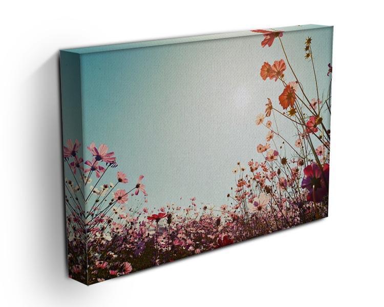 Beautiful cosmos flower field Canvas Print or Poster - Canvas Art Rocks - 3