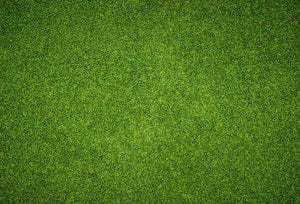 Beautiful green grass Wall Mural Wallpaper - Canvas Art Rocks - 1