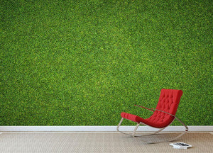 Beautiful green grass Wall Mural Wallpaper - Canvas Art Rocks - 2