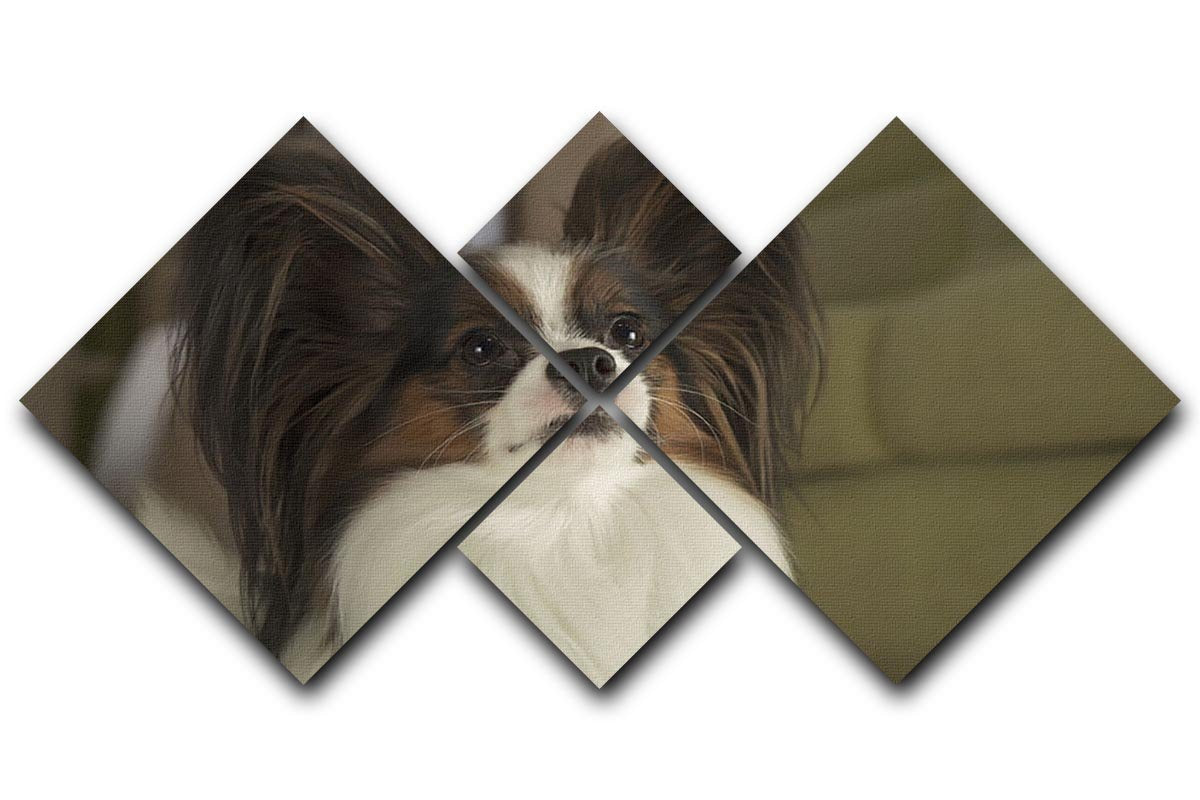 Beautiful male dog Papillon 4 Square Multi Panel Canvas - Canvas Art Rocks - 1