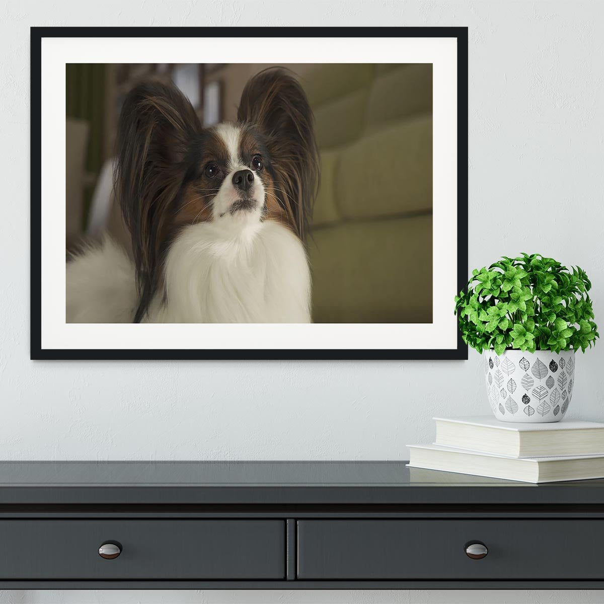 Beautiful male dog Papillon Framed Print - Canvas Art Rocks - 1