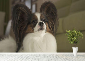 Beautiful male dog Papillon Wall Mural Wallpaper - Canvas Art Rocks - 4