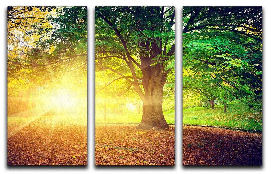 Beautiful park 3 Split Panel Canvas Print - Canvas Art Rocks - 1