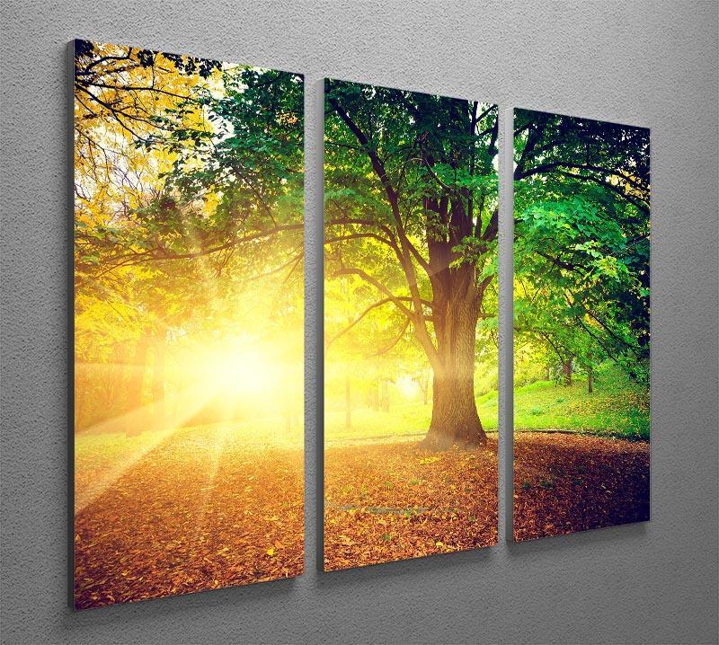 Beautiful park 3 Split Panel Canvas Print - Canvas Art Rocks - 2