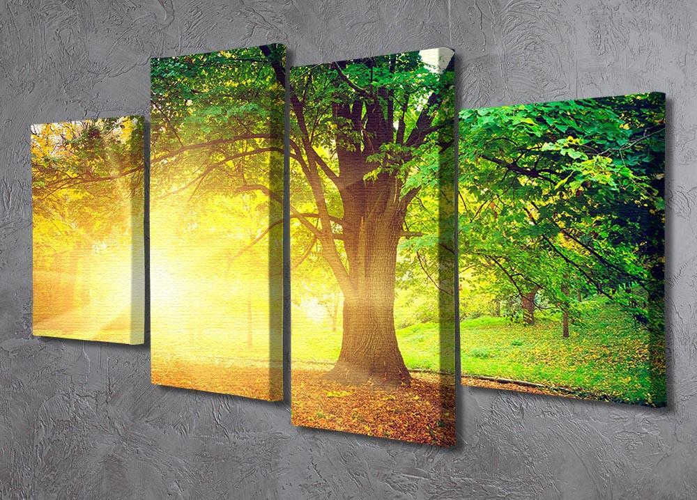 Beautiful park 4 Split Panel Canvas  - Canvas Art Rocks - 2
