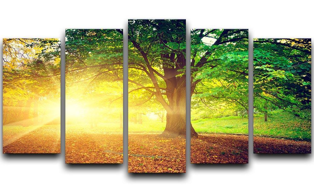 Beautiful park 5 Split Panel Canvas  - Canvas Art Rocks - 1