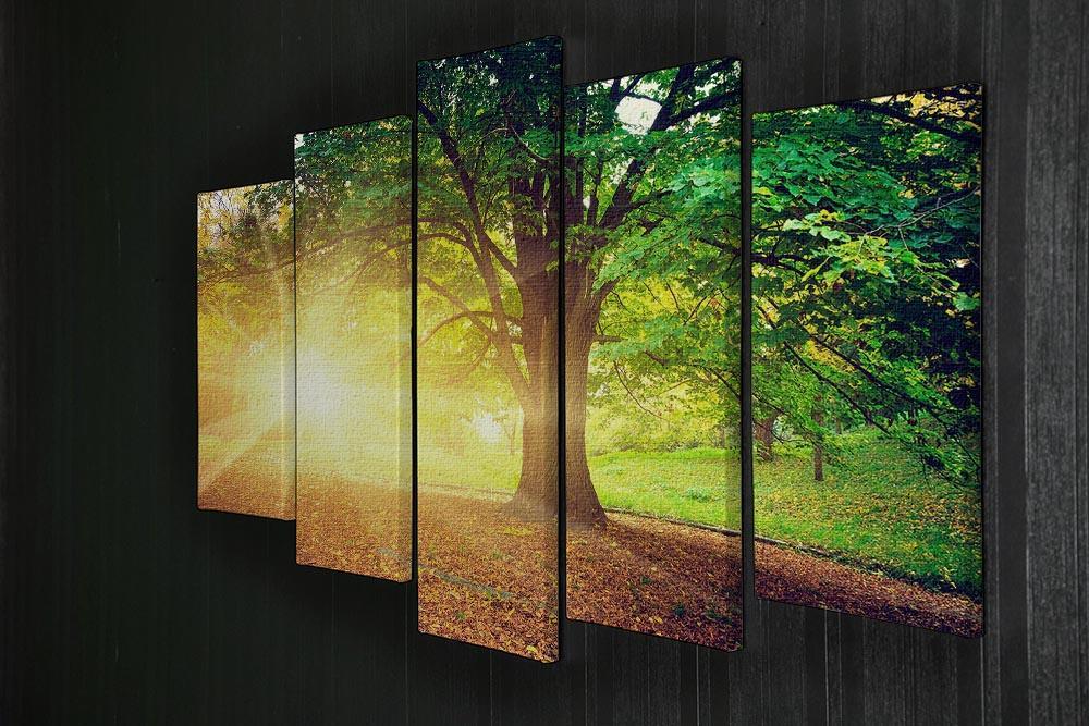 Beautiful park 5 Split Panel Canvas  - Canvas Art Rocks - 2