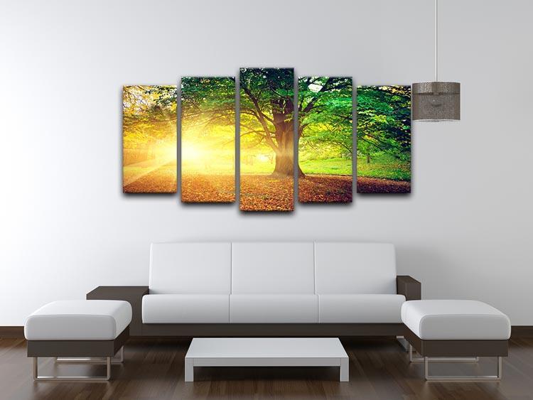 Beautiful park 5 Split Panel Canvas  - Canvas Art Rocks - 3