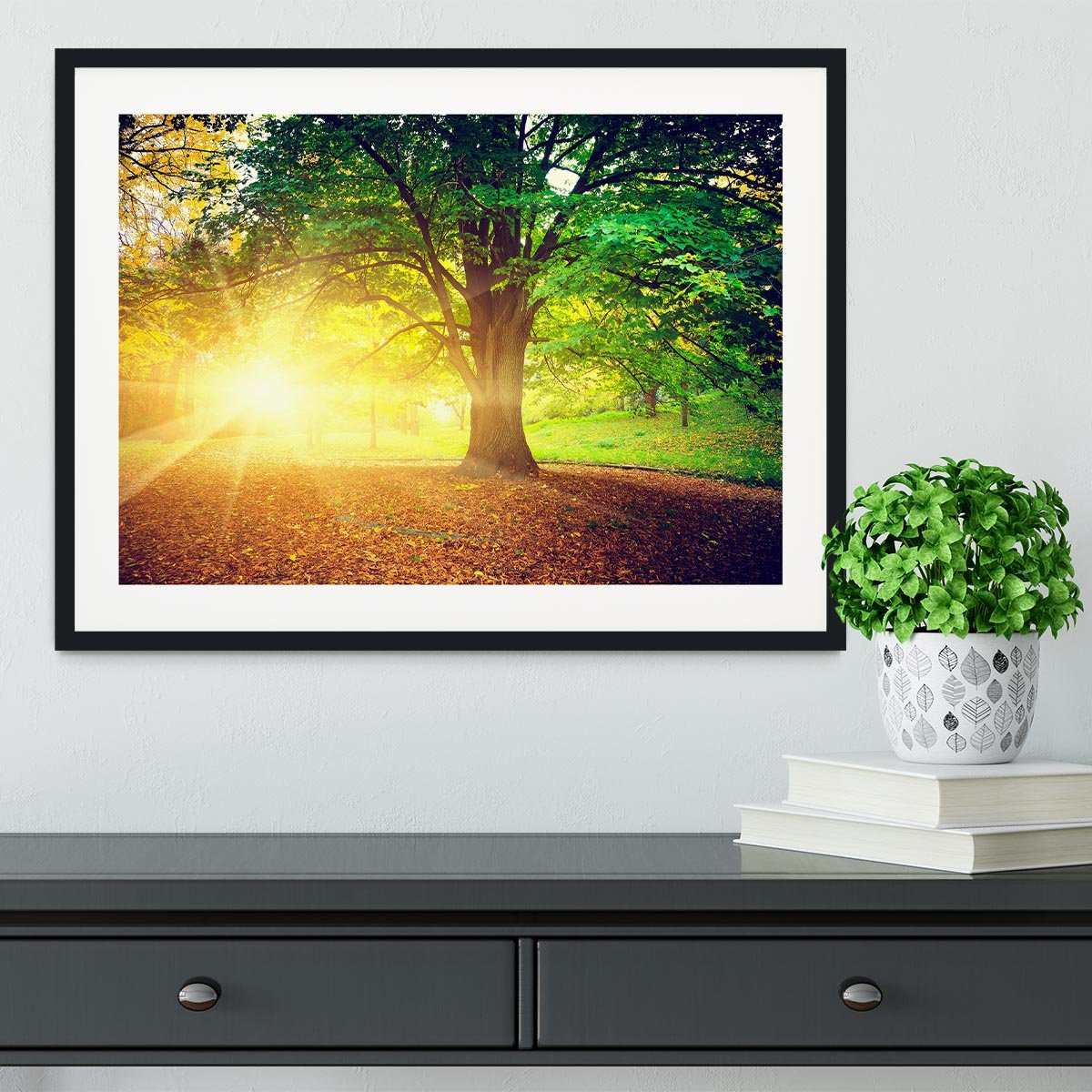 Beautiful park Framed Print - Canvas Art Rocks - 1